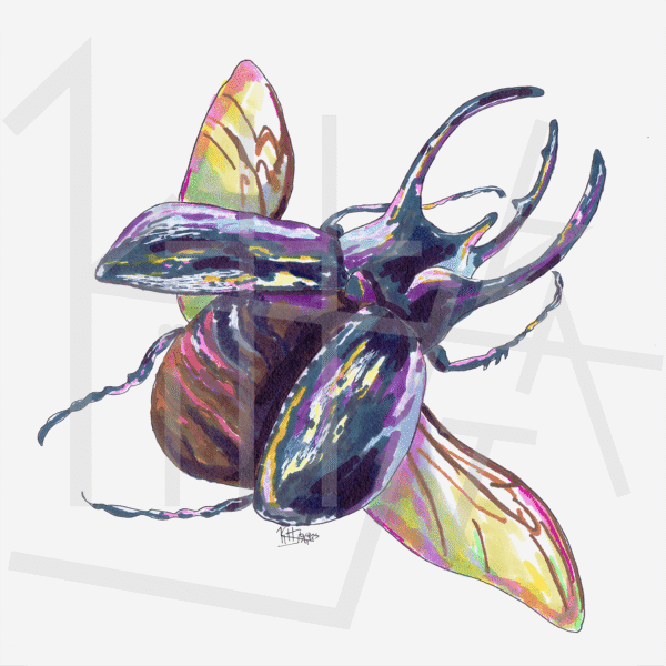 'beetle buddy' – PRINT (5"x5")