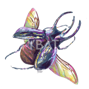 'beetle buddy' – PRINT (5"x5")