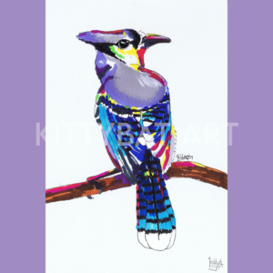 'blue jay' – PRINT (4"x6")