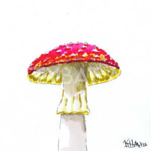 'red' – PRINT (5"x5")